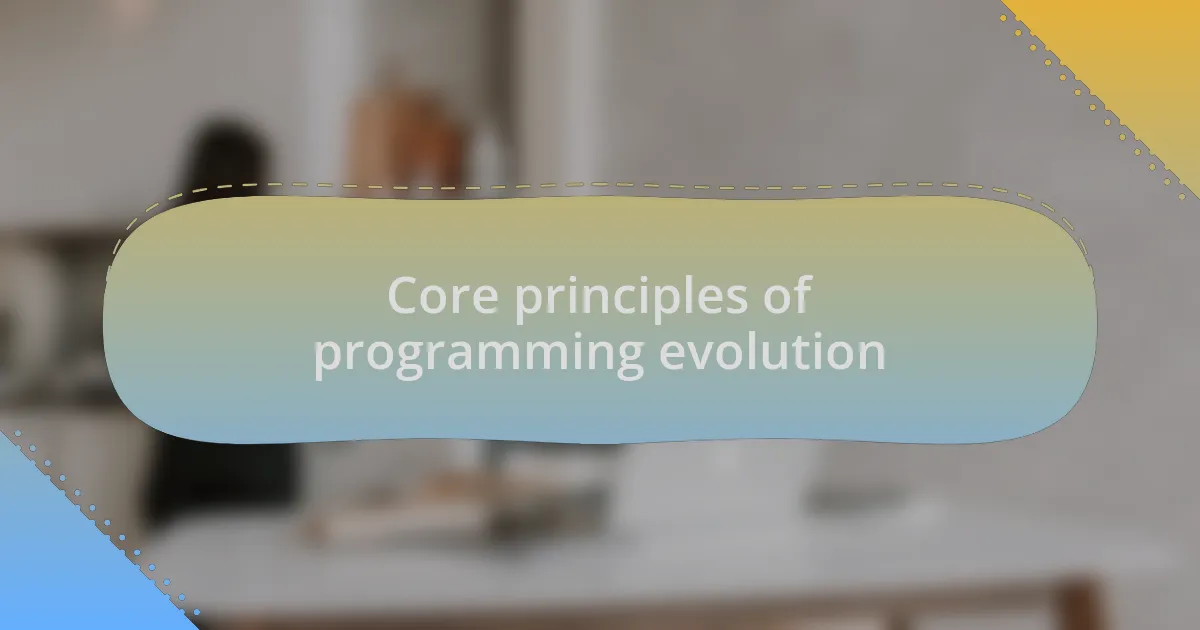 Core principles of programming evolution